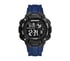 Westlawn Watch, BLAUW, full